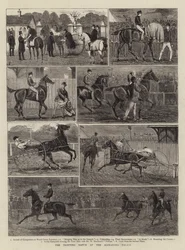 La course de trot au palais Alexandra